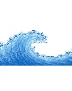 Άρωμα Ocean Mist (Θαλασσινή Αύρα)